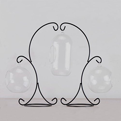 Ian Enterprises Hanging Display Stand for Glass Terrarium and Picture