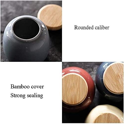 Elegant Ceramic Cremation Urn for Ashes