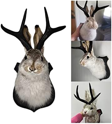 PAHAYU Antler Rabbit Wall Decor Gift - Jackalope Mount