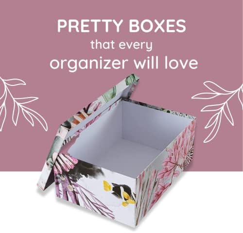 Soul Lane Ocean Treasures Photo Storage Boxes Set of 3