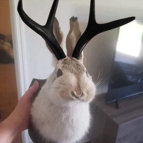 PAHAYU Antler Rabbit Wall Decor Gift - Jackalope Mount