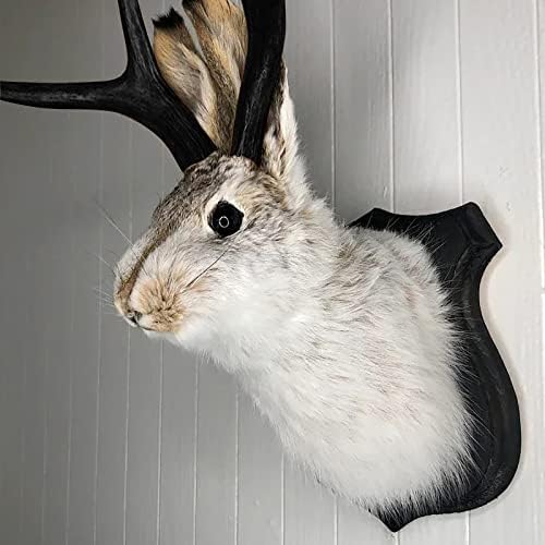 PAHAYU Antler Rabbit Wall Decor Gift - Jackalope Mount