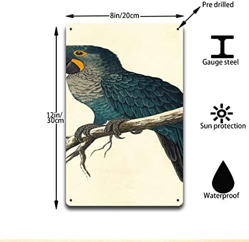 Aluminum Hyacinth Macaw Tin Sign Retro Wall Decor 8x12 Inch