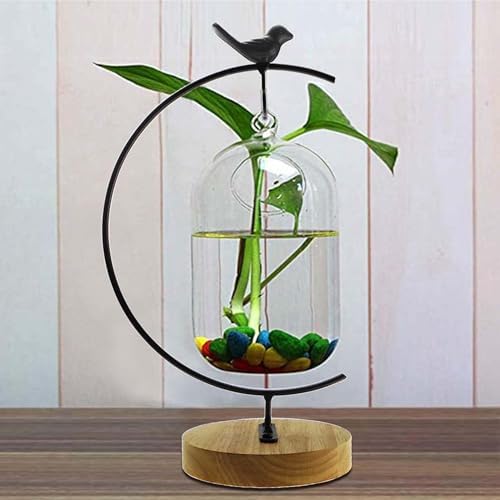 MADOCEGO Ornament Display Stand Air Plants Holder Black Bird Hook