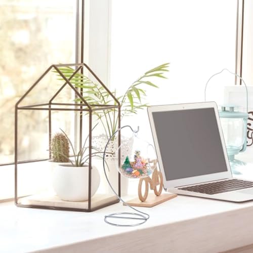 2pcs Glass Globe Display Stand Holder for Decorations