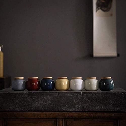 Elegant Ceramic Cremation Urn for Ashes