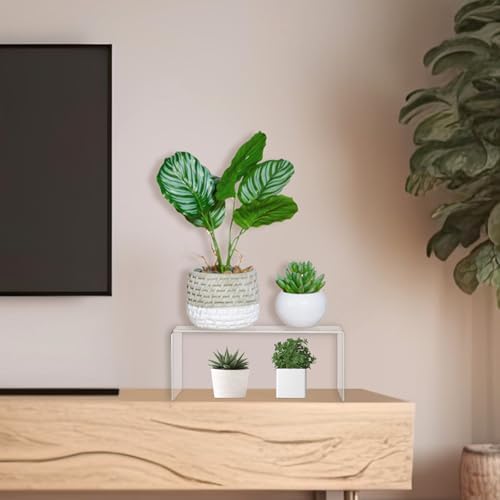 3 Pcs Extra Large Acrylic Display Risers for Collectibles