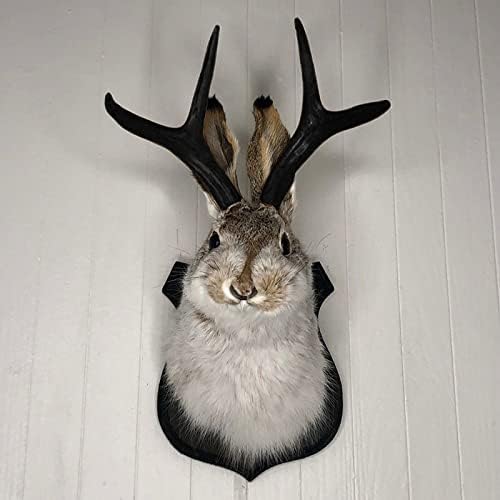 PAHAYU Antler Rabbit Wall Decor Gift - Jackalope Mount