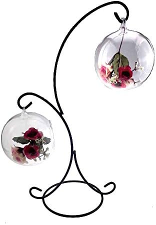 Ian Enterprises Hanging Display Stand for Glass Terrarium and Picture