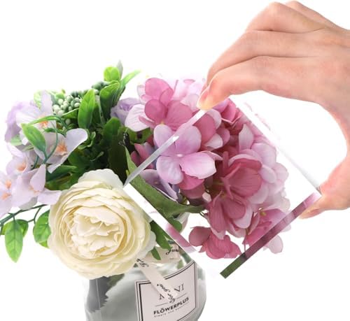 Hacaroa 6 Piece Acrylic Square Display Blocks