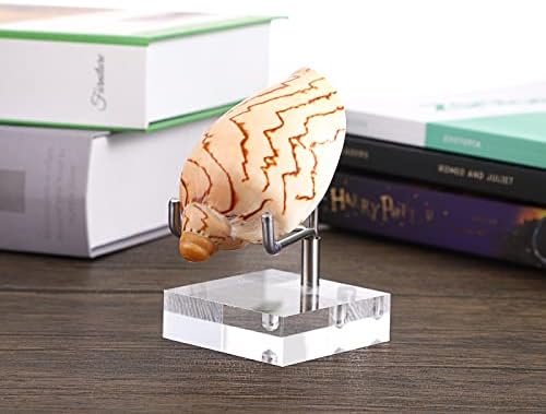 Hipiwe Adjustable Metal Arms Easel Display Stand