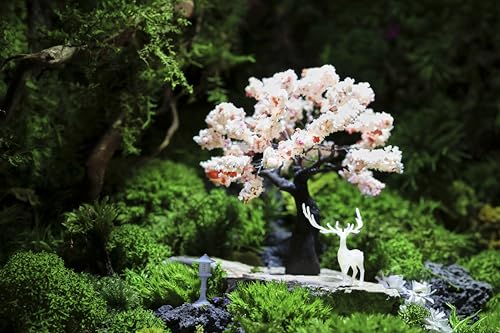 KARESANSUI Mini Japanese Garden - Zen Decor Kit for Desk
