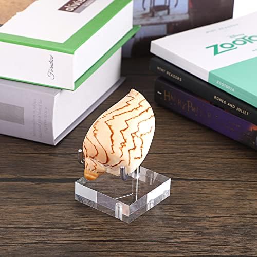 Hipiwe 2 Pcs Clear Acrylic Display Stand Holder with Adjustable Metal Arms Easel
