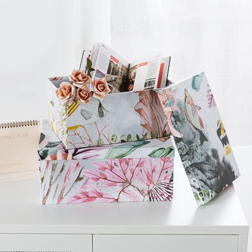 Soul Lane Ocean Treasures Photo Storage Boxes Set of 3