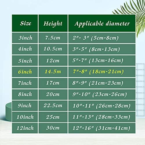 Artliving 6 Inch Clear Plastic Easels for Display