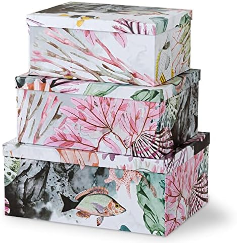 Soul Lane Ocean Treasures Photo Storage Boxes Set of 3