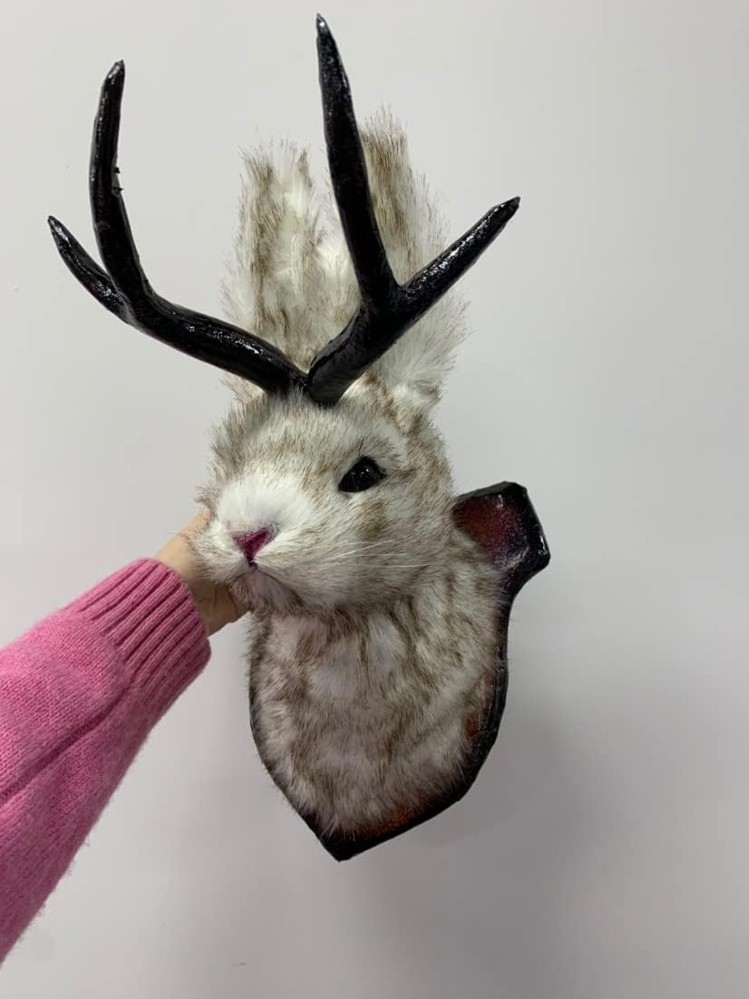 PAHAYU Antler Rabbit Wall Decor Gift - Jackalope Mount