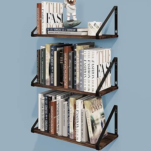 BAMEOS Floating Shelf Rustic Wood Wall Shelf Small Bookshelf