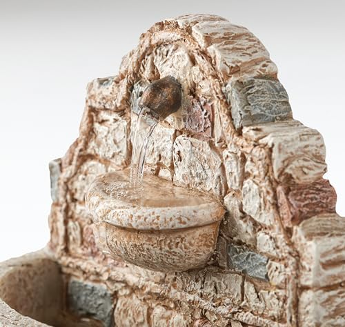 Fontanini by Roman 675 Inch Wall Fountain with Water Pump