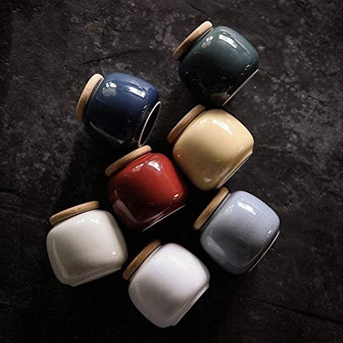 Elegant Ceramic Cremation Urn for Ashes