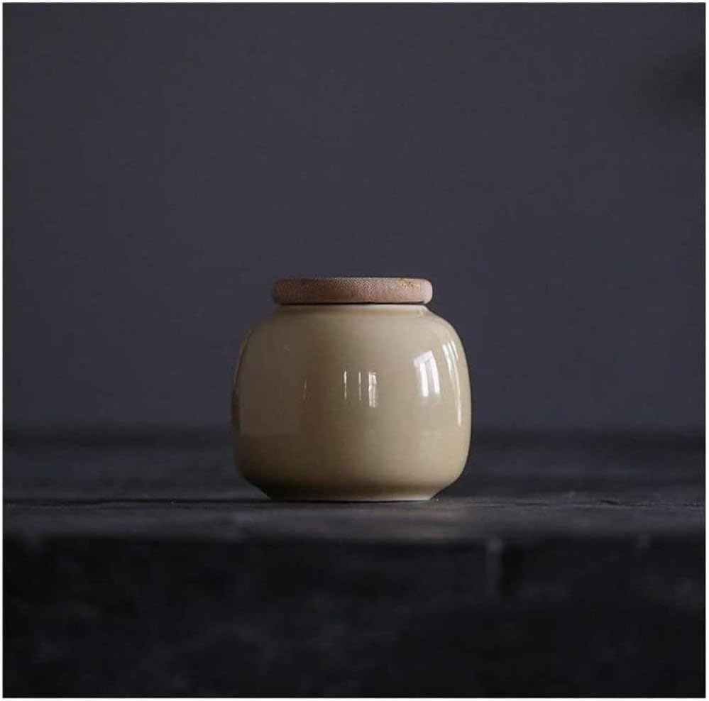 Elegant Ceramic Cremation Urn for Ashes