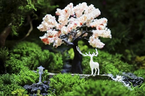 KARESANSUI Mini Japanese Garden - Zen Decor Kit for Desk