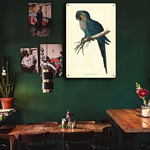 Aluminum Hyacinth Macaw Tin Sign Retro Wall Decor 8x12 Inch
