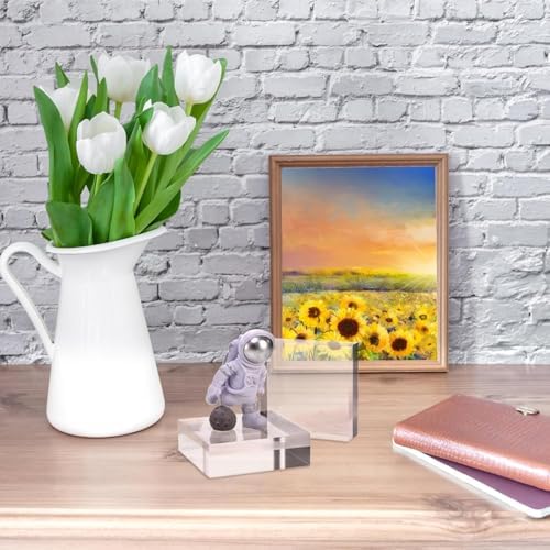 Hacaroa 6 Piece Acrylic Square Display Blocks