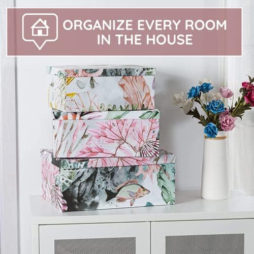 Soul Lane Ocean Treasures Photo Storage Boxes Set of 3