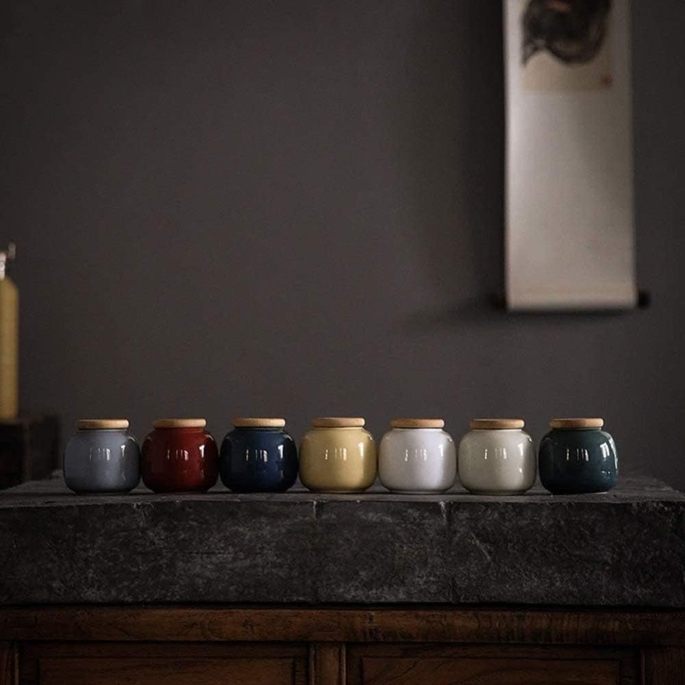 Elegant Ceramic Cremation Urn for Ashes
