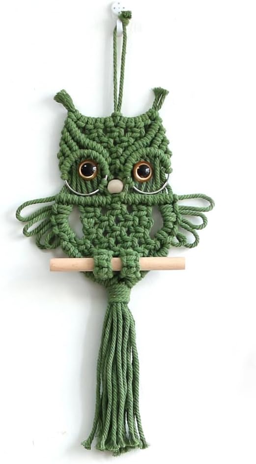Handwoven Macrame Owl Wall Hanging in Green