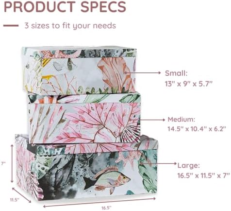 Soul Lane Ocean Treasures Photo Storage Boxes Set of 3