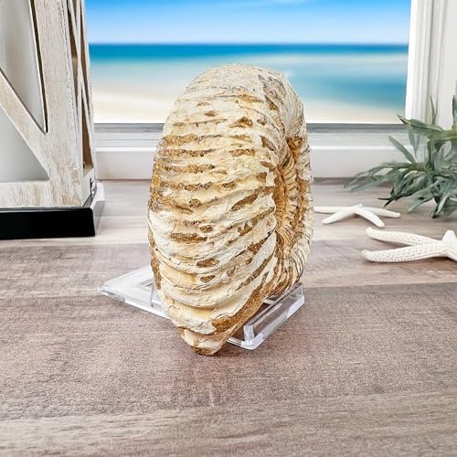 Plymor Clear Acrylic Adjustable Easel for Display