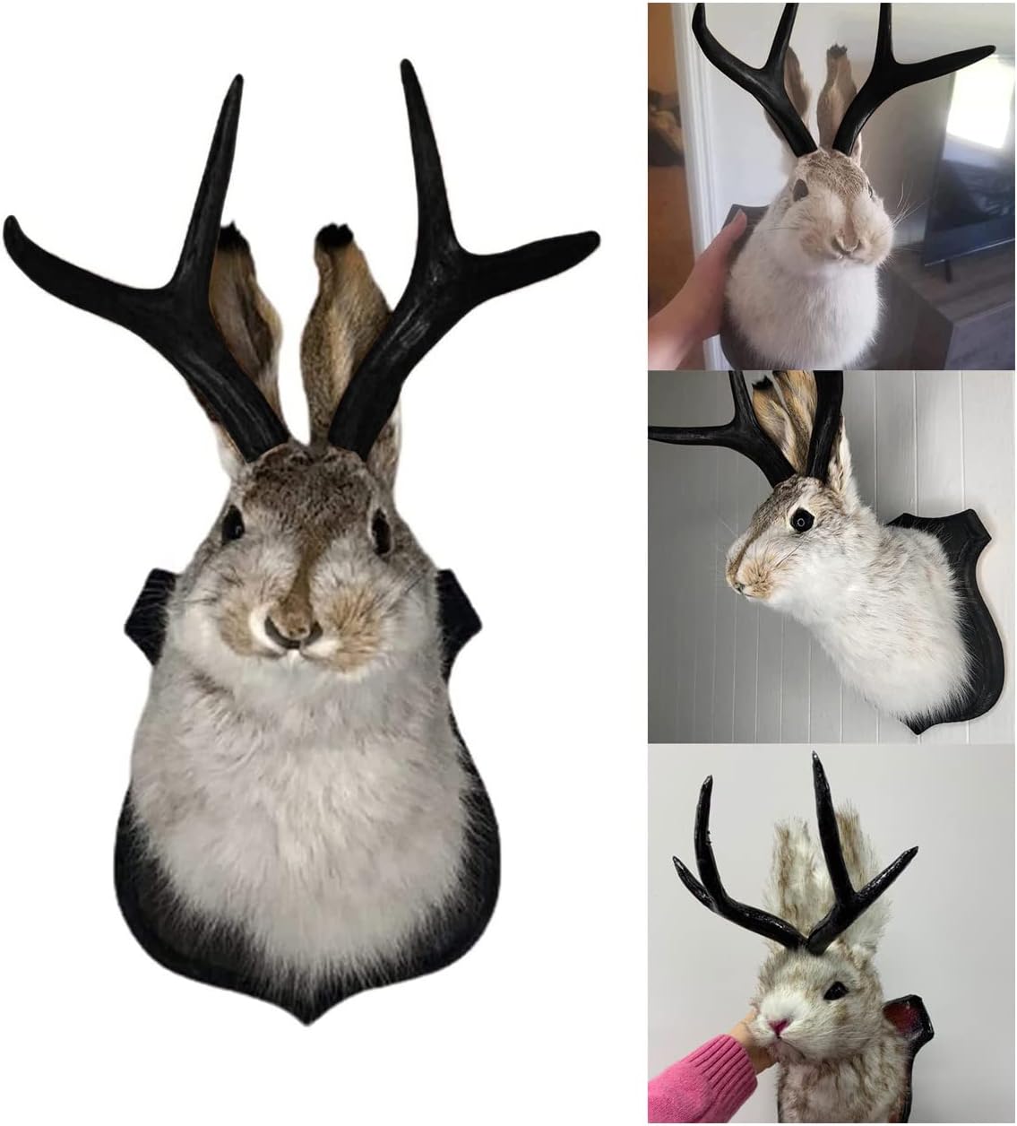 PAHAYU Antler Rabbit Wall Decor Gift - Jackalope Mount