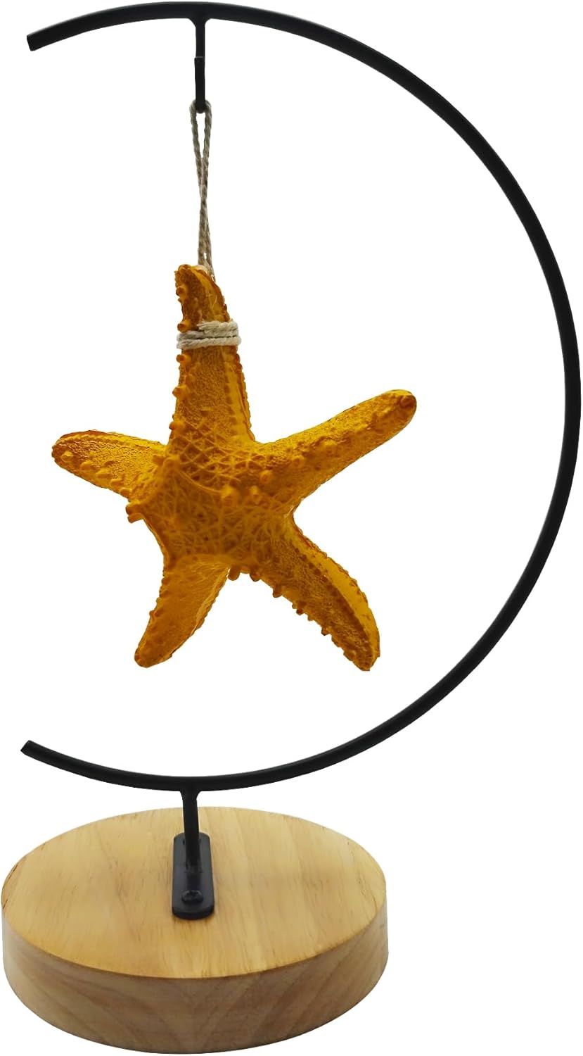 SGrace Ornament Display Stand for Hanging Glass Globe Air Plant Flower Pot