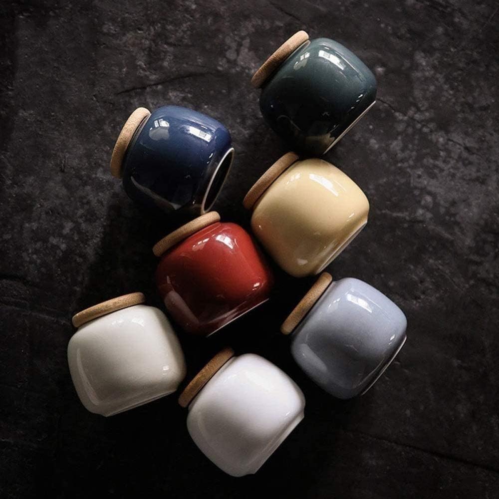 Elegant Ceramic Cremation Urn for Ashes