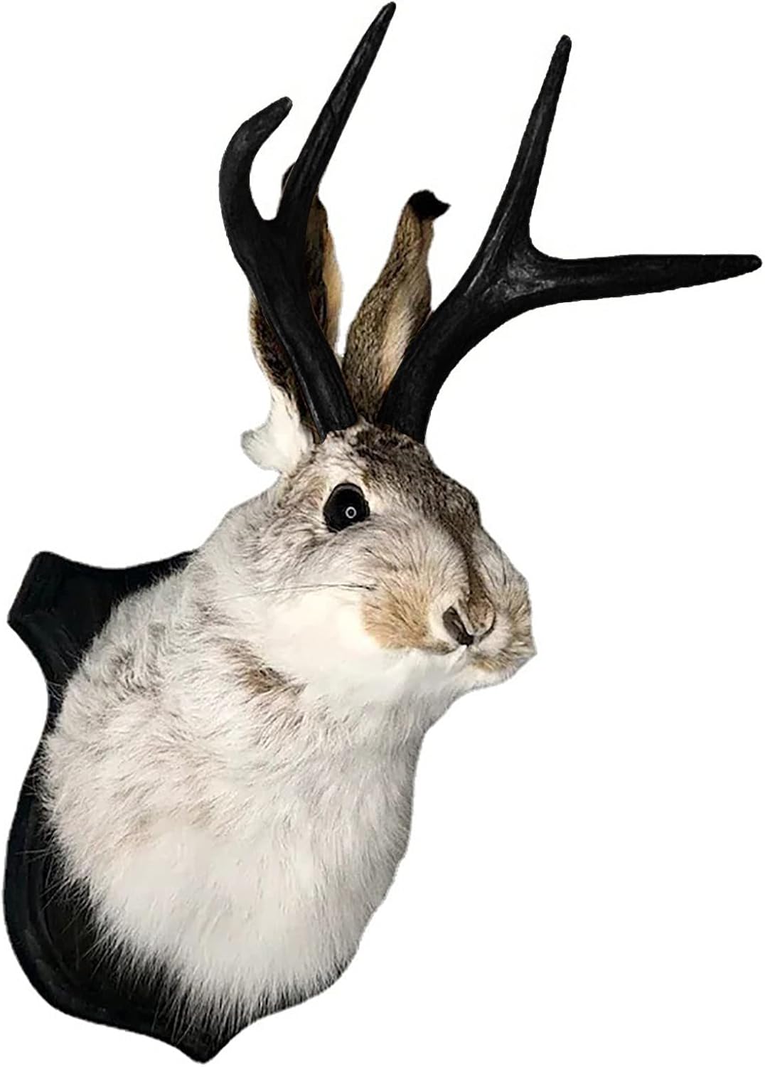 PAHAYU Antler Rabbit Wall Decor Gift - Jackalope Mount