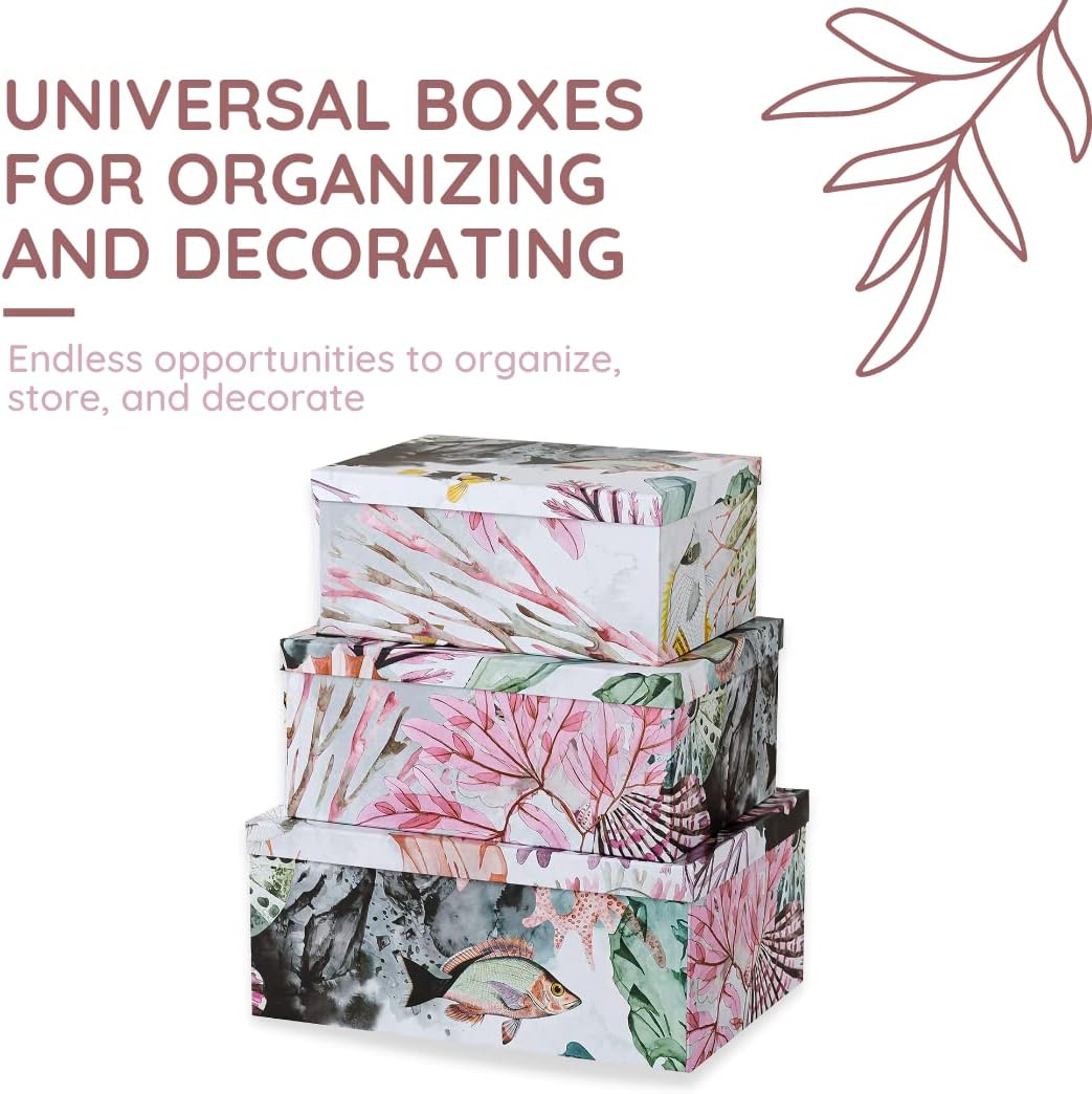Soul Lane Ocean Treasures Photo Storage Boxes Set of 3