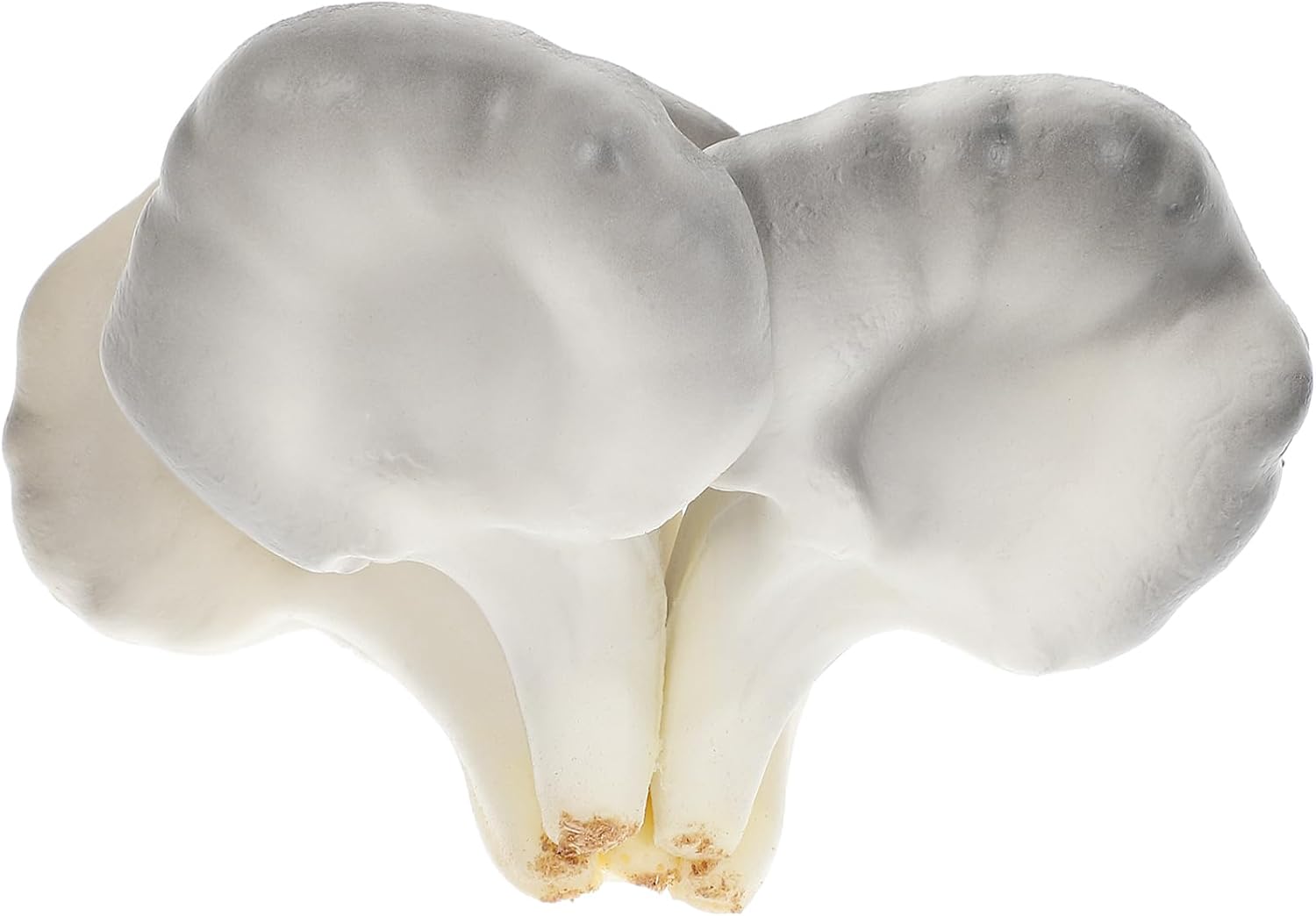 Unomor Realistic Miniature Mushroom Decor Statue