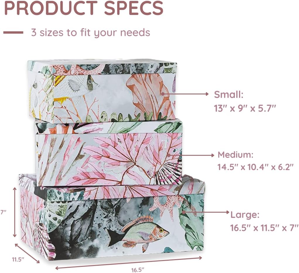 Soul Lane Ocean Treasures Photo Storage Boxes Set of 3