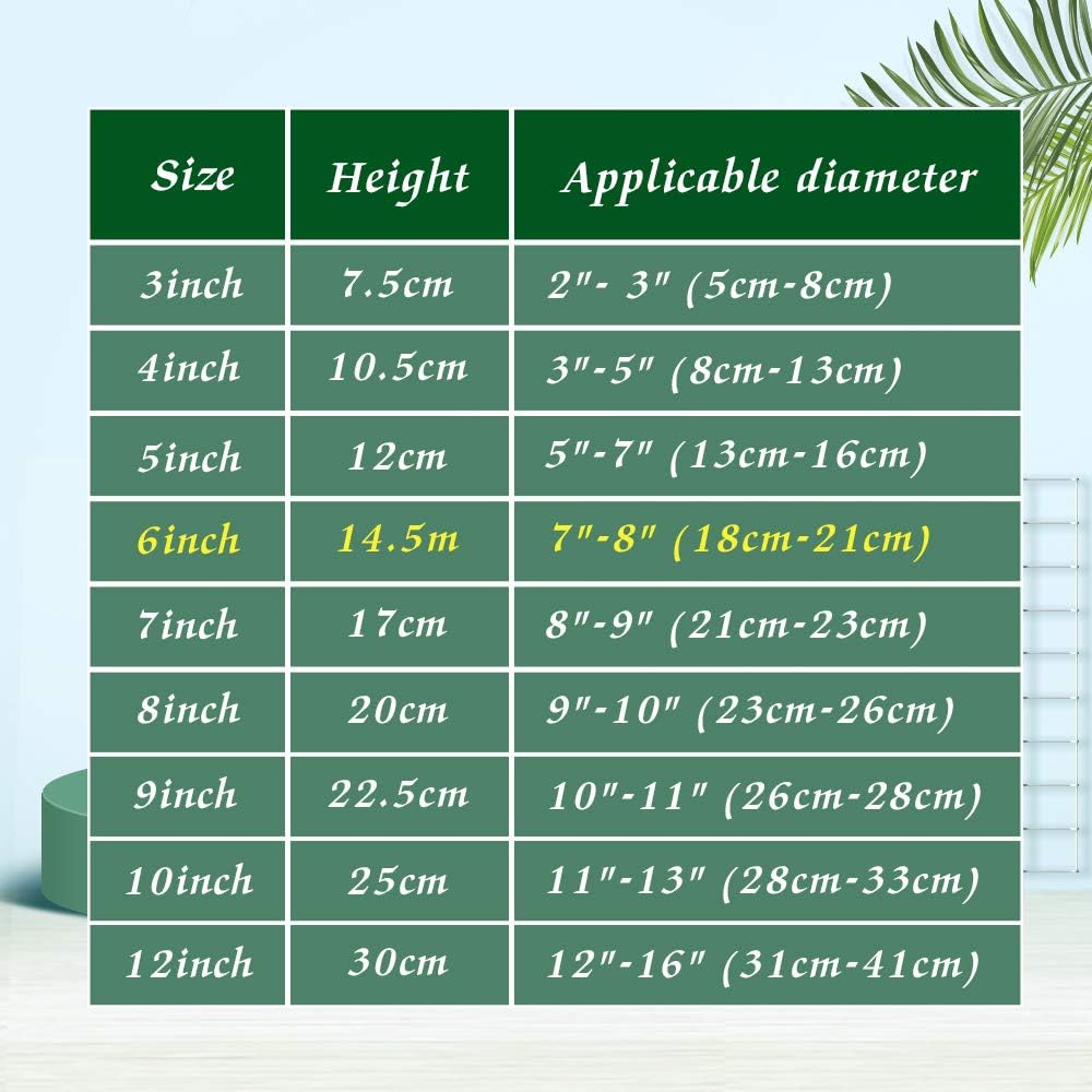 Artliving 6 Inch Clear Plastic Easels for Display