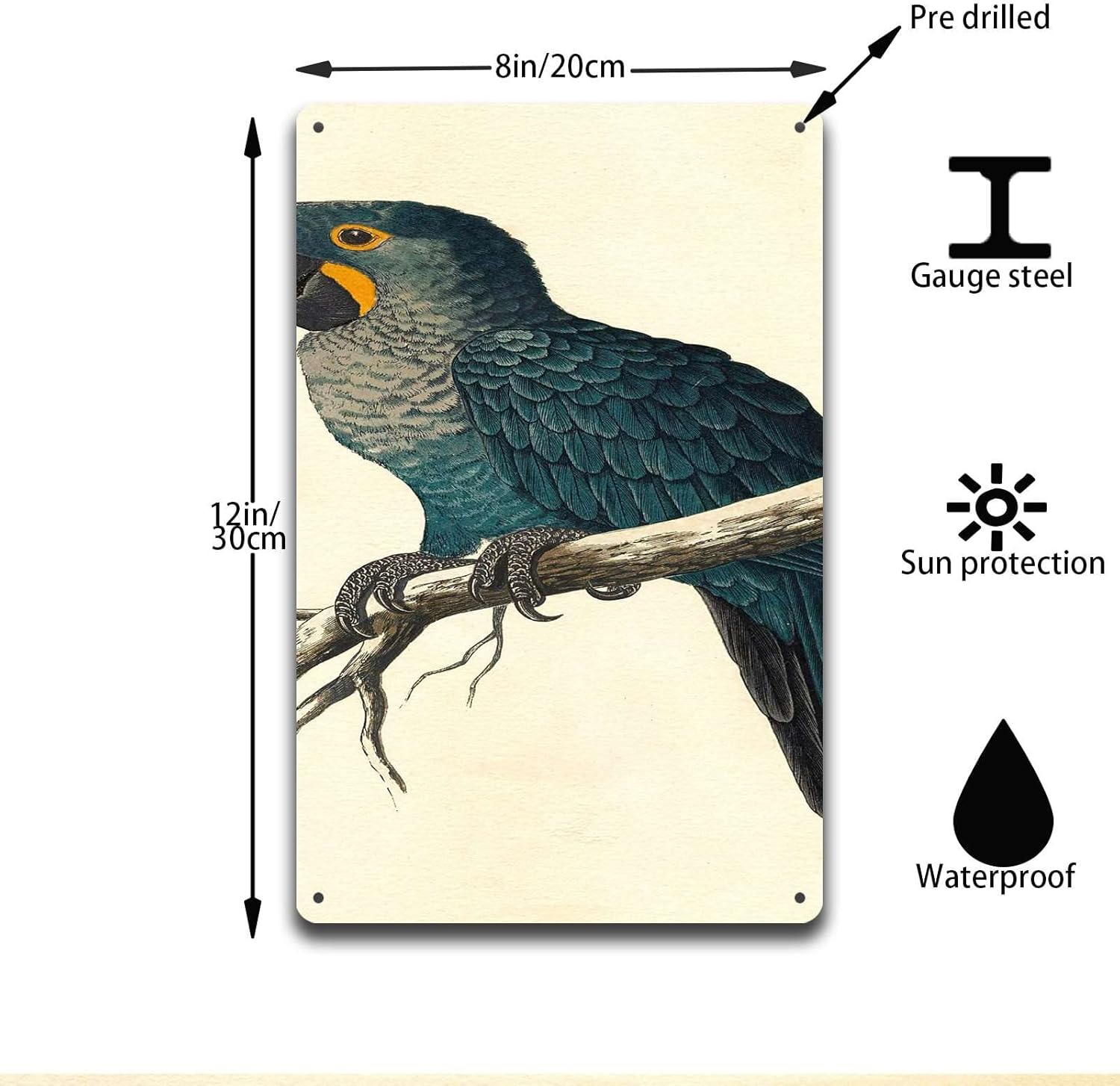 Aluminum Hyacinth Macaw Tin Sign Retro Wall Decor 8x12 Inch