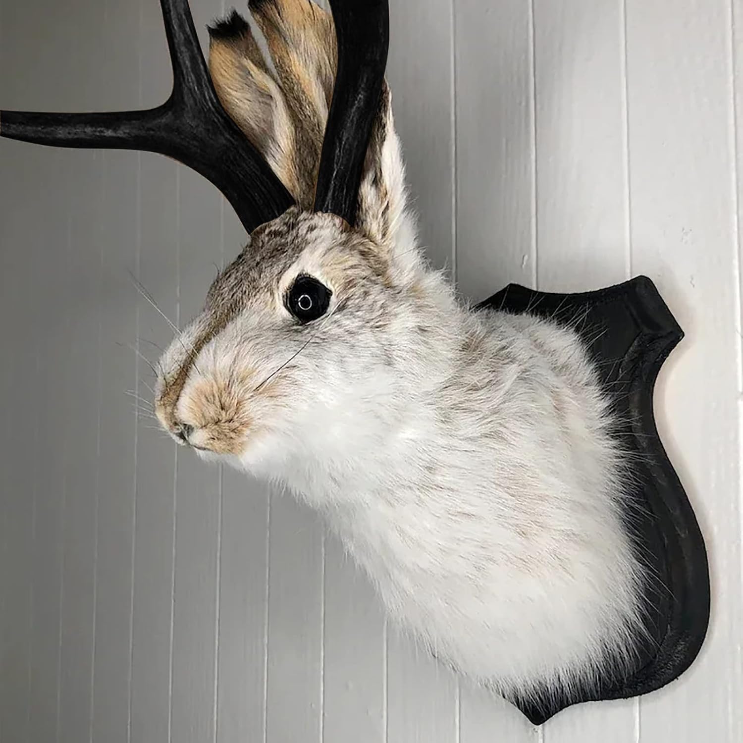 PAHAYU Antler Rabbit Wall Decor Gift - Jackalope Mount