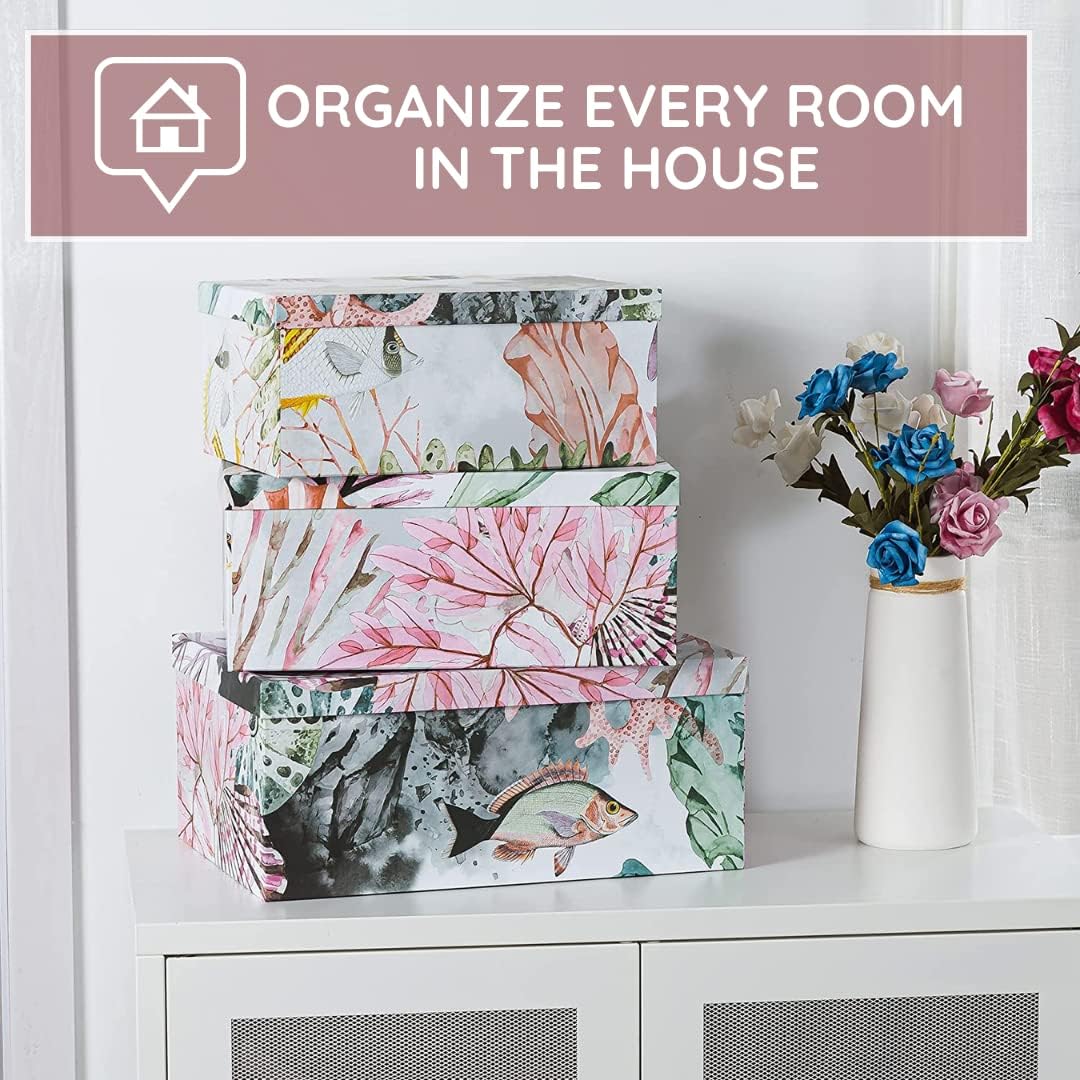 Soul Lane Ocean Treasures Photo Storage Boxes Set of 3