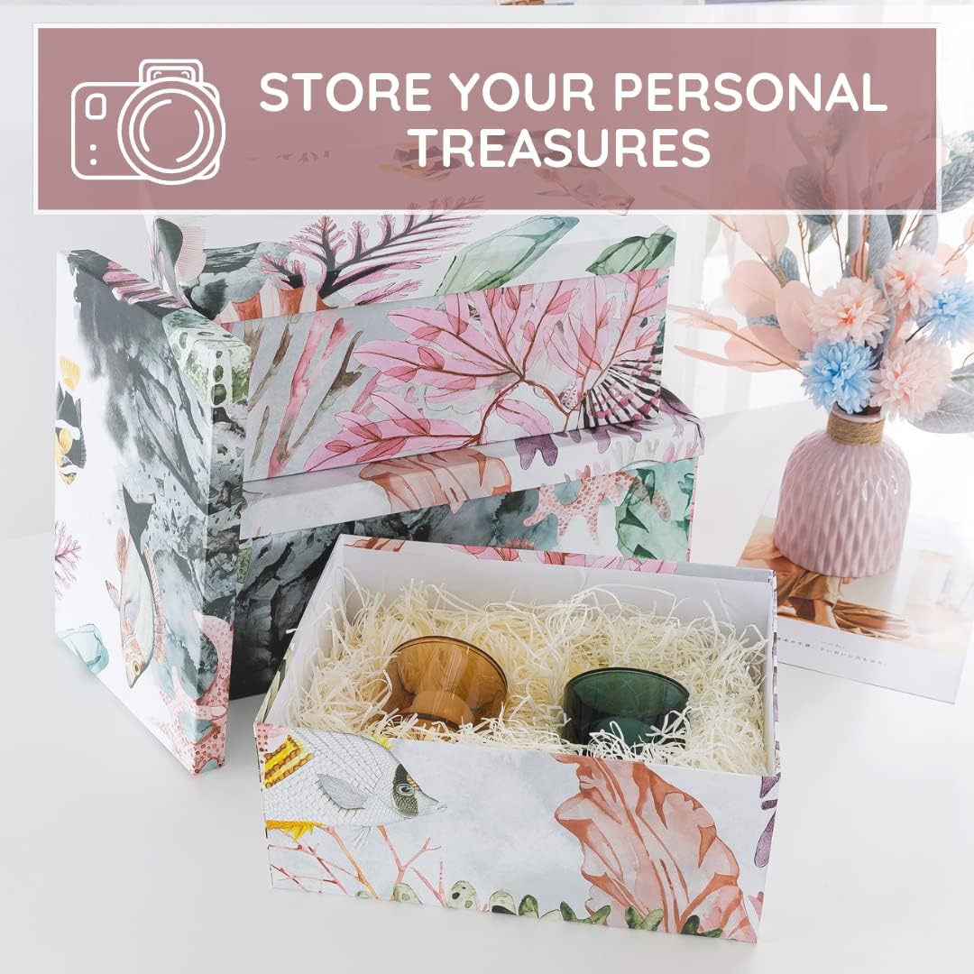 Soul Lane Ocean Treasures Photo Storage Boxes Set of 3