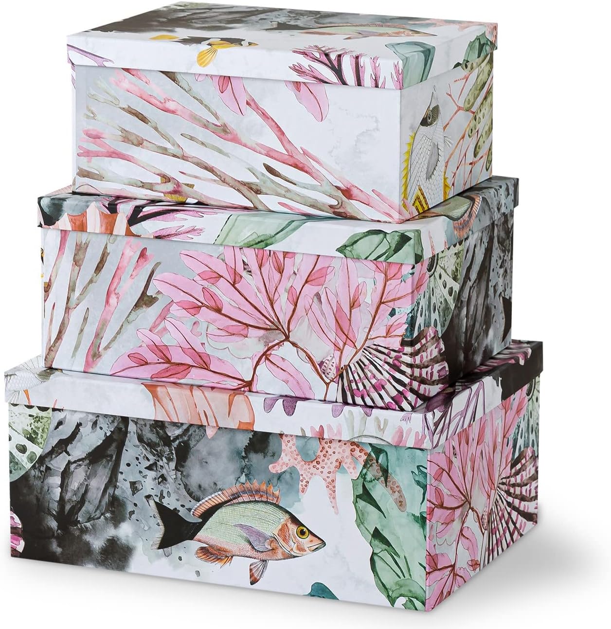 Soul Lane Ocean Treasures Photo Storage Boxes Set of 3