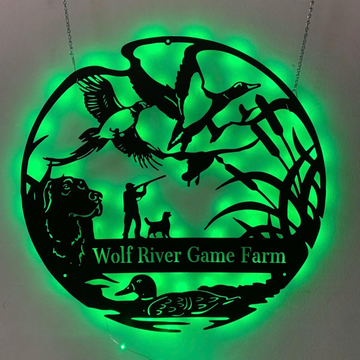 Custom Name Sign with 16 Color LED Light