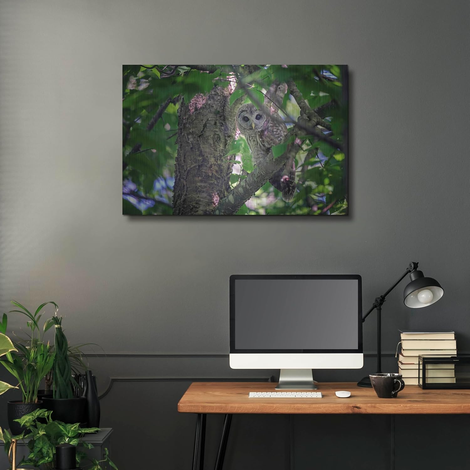 Barred Owl In A Tree Metal Wall Art 36x24