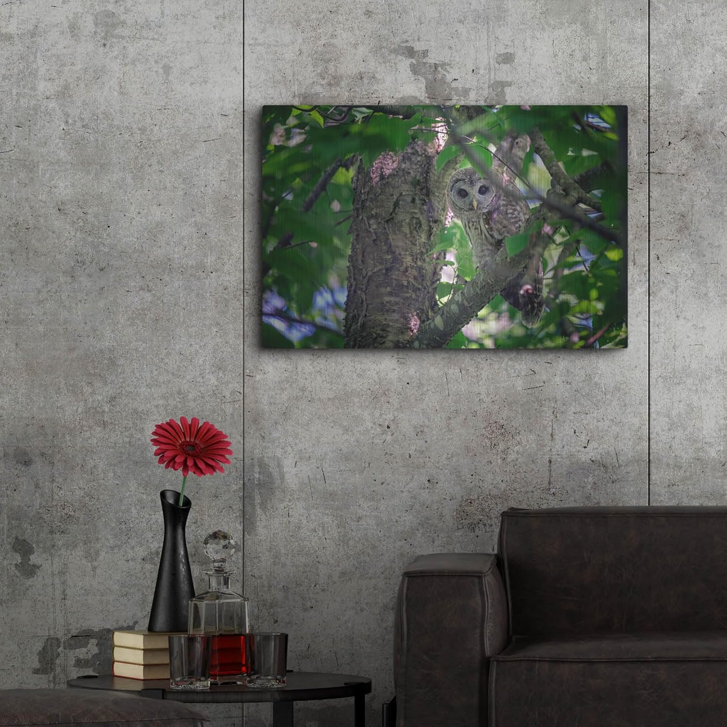 Barred Owl In A Tree Metal Wall Art 36x24
